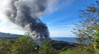 Trabzon'da balık fabrikasında yangın