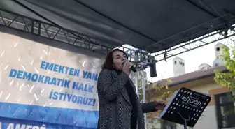 Diyarbakır'da bütçe mitingi düzenlendi