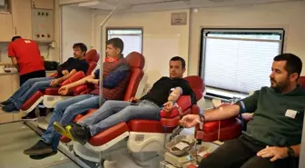 Annesi şehir şehir dolaşıp kan topladı, 5 milyon kişi tarandı, uygun donör bulunamadı