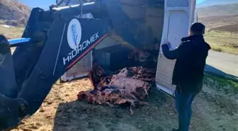 Batman'da Kaçak Et Operasyonunda 1 Ton 150 Kilo Et İmha Edildi