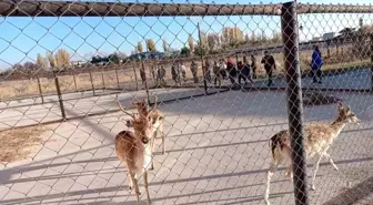 Van Yaban Hayvanları Koruma ve Rehabilitasyon Merkezi, Engelliler Günü'nde öğrencileri ağırladı