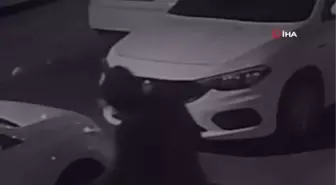 İzmir'de maske takan kadın iş yerine ateş açtı