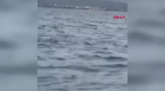 Kayıp genç kızın cansız bedenini balıkçılar bulmuştu! O anlara ilişkin görüntüler ortaya çıktı