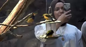 Karadeniz Bölgesi'ndeki Kuş Parkı Ziyaretçileri Ağırlamaya Devam Ediyor