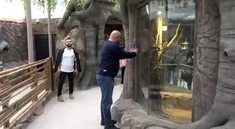 Karadeniz Bölgesi'nde Kuş Parkı açıldı