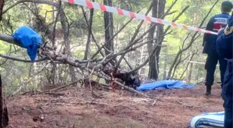 Denizli'de Odun Keserken Kaza Sonucu Yaşlı Adam Hayatını Kaybetti