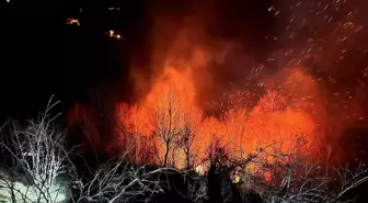 Ordu'nun Kabadüz ilçesinde çıkan örtü yangını kontrol altına alındı