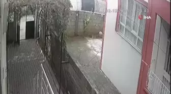 Adıyaman'da Yüzü Maskeli Hırsızın Bisiklet Çalma Anı