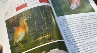 Bolu'daki okullara kuş kitabı hediye edildi