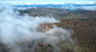 Kastamonu'da sisli kara yolu ve ormanlık alanlar dron ile görüntülendi
