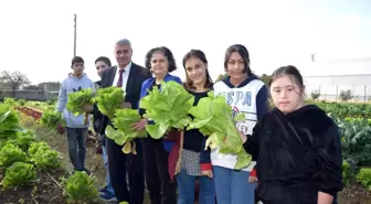 Antalya'da Engelliler Günü etkinliği: Özel öğrenciler tarım lisesi öğrencileriyle birlikte ürünleri topladı