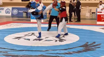 Bursa'da düzenlenen Alpagut Turan Dövüş Sanatları Dünya Şampiyonası sona erdi