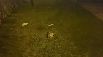 Esenyurt'ta 3 çocuk annesi kadını bıçaklayarak öldüren sanığa müebbet hapis istendi