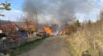 Sinop'ta Yangında Ev, Ahır ve Ambar Küle Döndü