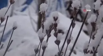 Tunceli kara teslim oldu