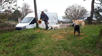 Ünye Belediyesi tarafından yapılan mama üretim tesisi sokak hayvanlarına 4 ton mama dağıttı