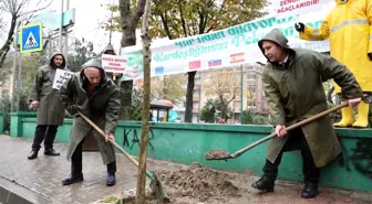 Bayrampaşa Belediyesi 2023 fidan dikmeye devam ediyor