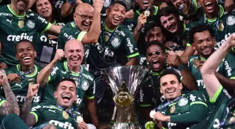 Palmeiras Brezilya Serie A'yı şampiyon tamamladı, Santos küme düştü