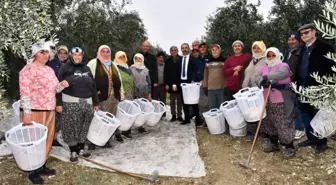 Manisa Büyükşehir Belediyesi, zeytin toplayan işçilere koruyucu malzemeler dağıttı