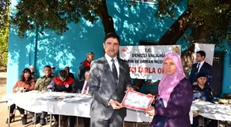 Denizli'de Zeytin Hasadı Gerçekleştirildi