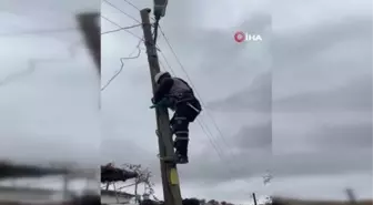 Adıyaman'da Mahsur Kalan Yavru Kedi Kurtarıldı