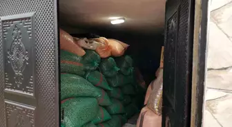 Fındık fiyatları serbest piyasanın önünü kapattı