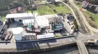 Trabzon'da balık fabrikaları nedeniyle ilçe hamsi kokuyor
