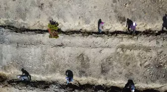 Doğu'da bozkıra dikilen milyonlarca fidan 'geleceğe nefes' olacak