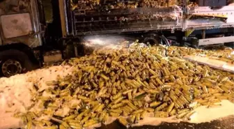 Esneyurt'ta Sinek İlacı Taşıyan TIR'da Yangın Çıktı