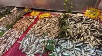Düzce'de istavrit kilosu 50 liradan tezgahlardaki yerini aldı