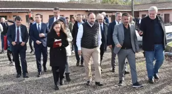 TBMM Balıkçılık ve Su Ürünleri Araştırma Komisyonu Ordu'da Balıkçıları Ziyaret Etti