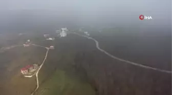Ordu Büyükşehir Belediyesi yol çalışmalarına devam ediyor