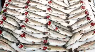 Egeli balıkçıların 11 aylık ihracatı 1 milyar doları aştı