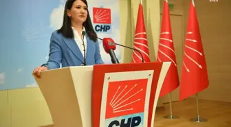 CHP Genel Başkan Yardımcısı Gökçe Gökçen'den İnsan Hakları Günü Mesajı