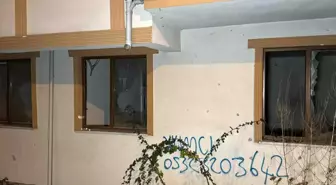 Düzce'de mahsur kalan köpekler için kurtarma çalışması