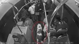 Beto'nun otobüste 'kaçak' yolculuğu