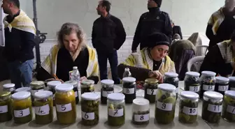 Denizli Kale'de Gölbaşı Karagöl Zeytin Kültür ve Sanat Festivali