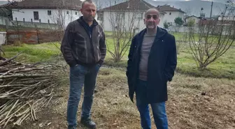 Düzce'de sahipsiz köpeklerin ağıla saldırısı