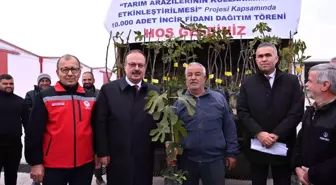 TAKEP kapsamında 10 bin sarı lop incir fidanı dağıtıldı