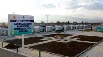Akşehir'de Sahipsiz Hayvanlar İçin Yeni Bakımevi ve Rehabilitasyon Merkezi İnşa Edildi