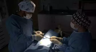 Akşehir'de Sahipsiz Hayvanlar İçin Yeni Merkez