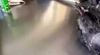 Erzurum'da kargaya şefkat eli uzandı