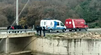 Gebze'de Mantar Toplamak İçin Giden Vatandaş, Cinayet Kurbanının Cesedini Buldu