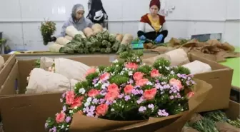 Türkiye'de Kesme Çiçek Tüketimi Avrupa Ülkelerinin Gerisinde Kalıyor