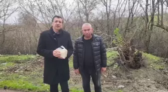 Türkiye, Pirinç İthalatında Rekor Kırdı