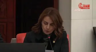 TBMM Genel Kurulu bir saat daha ara verdi