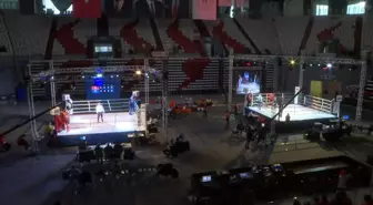 Muaythai Federasyonu Başkanı: Muaythai Milli Takımları Uluslararası Şampiyonalarda Başarılı