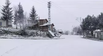 Ordu'nun Çambaşı Yaylası karla kaplandı