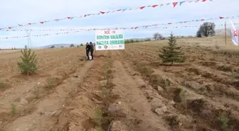 Burdur Valiliği, 100. Yıl Hatıra Ormanı'nda bin fidan dikti