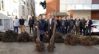 Samsun'da 50 Üreticiye 5 Bin Ceviz Fidanı Verildi